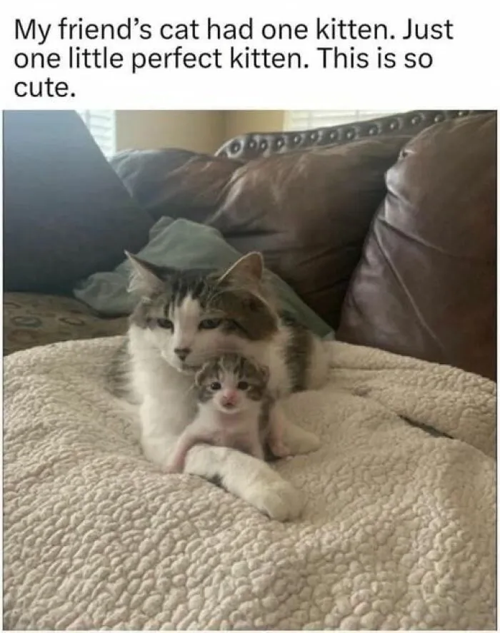 50 Randomly Wholesome Posts That May Be Just What You Needed For A Happiness Boost