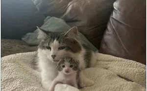 50 Randomly Wholesome Posts That May Be Just What You Needed For A Happiness Boost