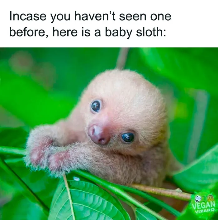 50 Randomly Wholesome Posts That May Be Just What You Needed For A Happiness Boost