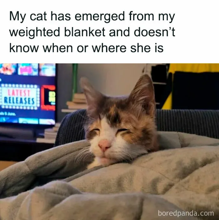 50 Randomly Wholesome Posts That May Be Just What You Needed For A Happiness Boost