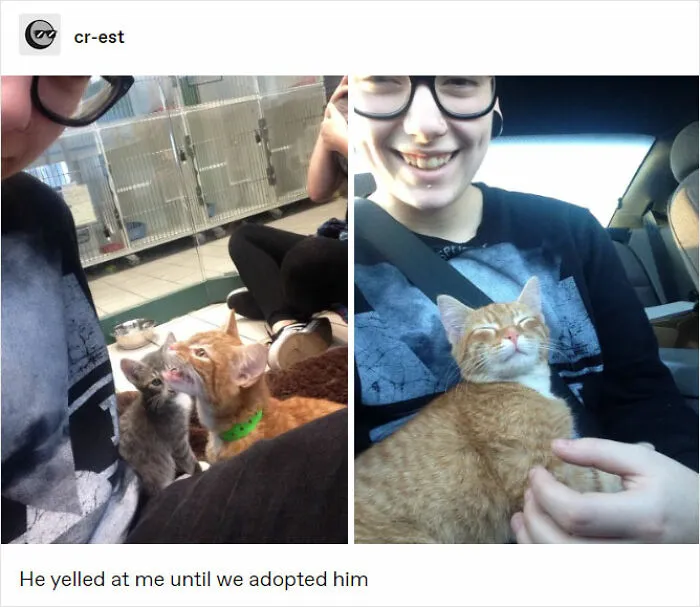 50 Randomly Wholesome Posts That May Be Just What You Needed For A Happiness Boost