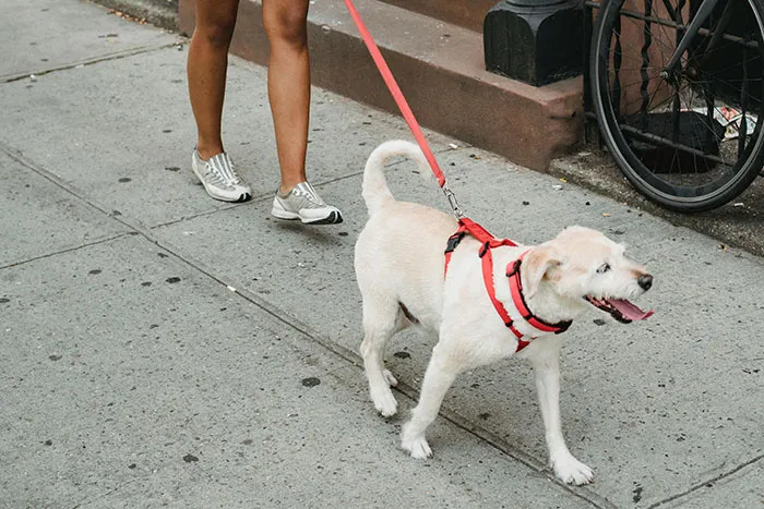 35 Times People Ruined An Impression About Themselves In An Instant