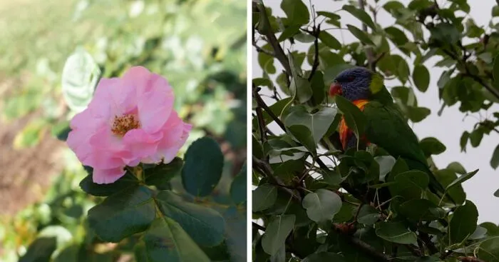 Captivating Photos I Took With My First Camera (28 Pics)