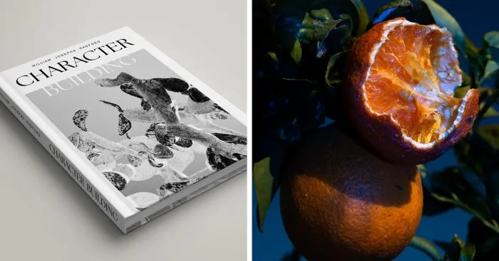 My Dream Of Publishing My Own Photography Book Is Almost A Reality!