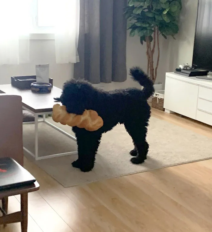 I Spent An Entire Day Baking Challah Bread, Only To Have It Stolen