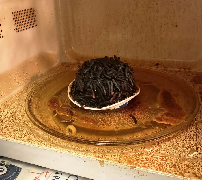 I Forgot To Put Water In My EZ Mac. Stepped Away To Change The Laundry While It Cooked For 3 Minutes
