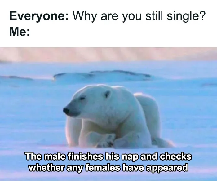 30 Of The Best Gym Memes As Seen On This Dedicated Facebook Meme Page