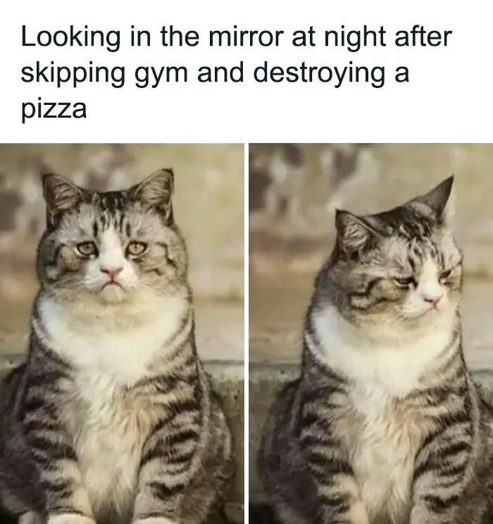 30 Of The Best Gym Memes As Seen On This Dedicated Facebook Meme Page