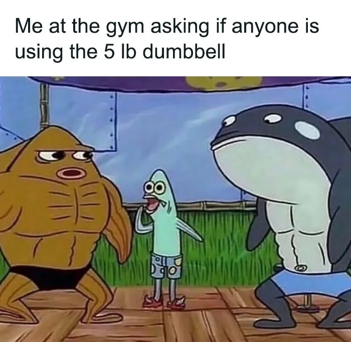 30 Of The Best Gym Memes As Seen On This Dedicated Facebook Meme Page