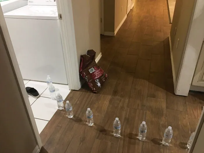My Kids Came In And Told Me There Was Water Coming From The Laundry Room And It Looked Like It Started At The Washer. I Rushed In To Find This. Bunch Of Comedians In My House
