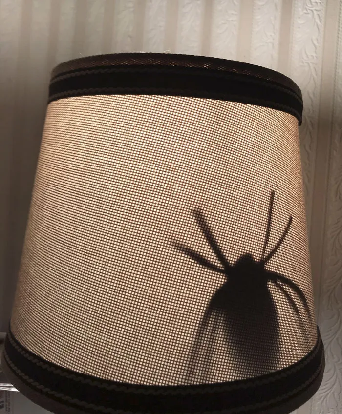 Mi hijo ha hecho una araña con papel y la ha pegado dentro de la lámpara de mi esposa