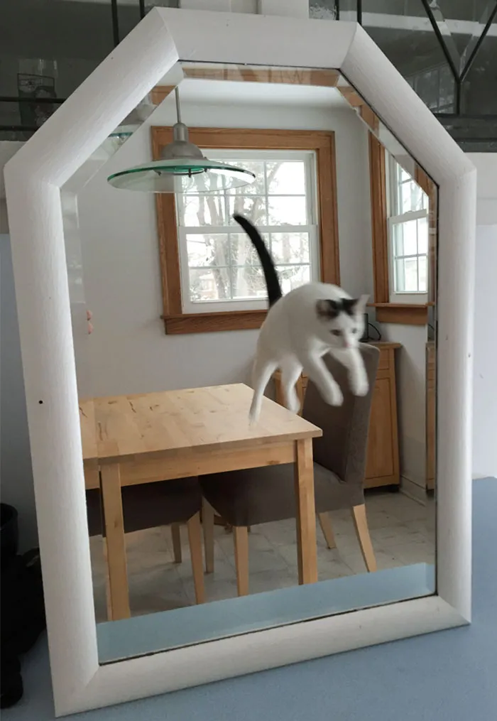 I Was Taking A Picture Of A Mirror To Sell It
