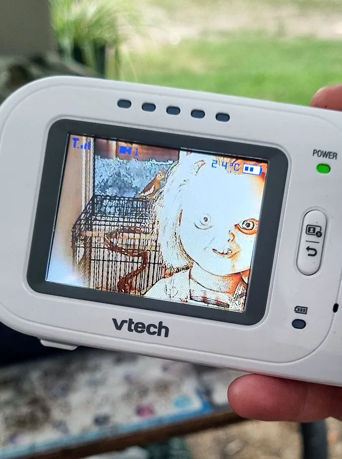 Mi esposa tiene este monitor para ver a los pájaros, decidí gastarle una broma
