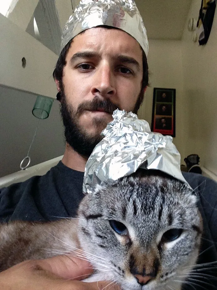 Cuando no estoy en casa, mi novio disfraza al gato