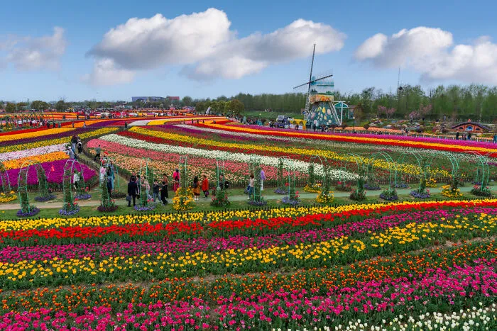 The Park