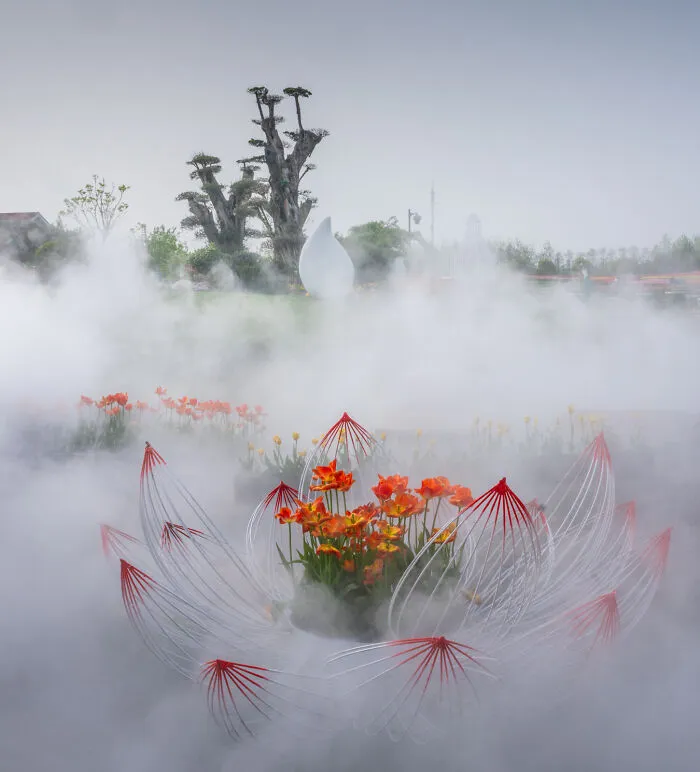 Foggy Atmosphere