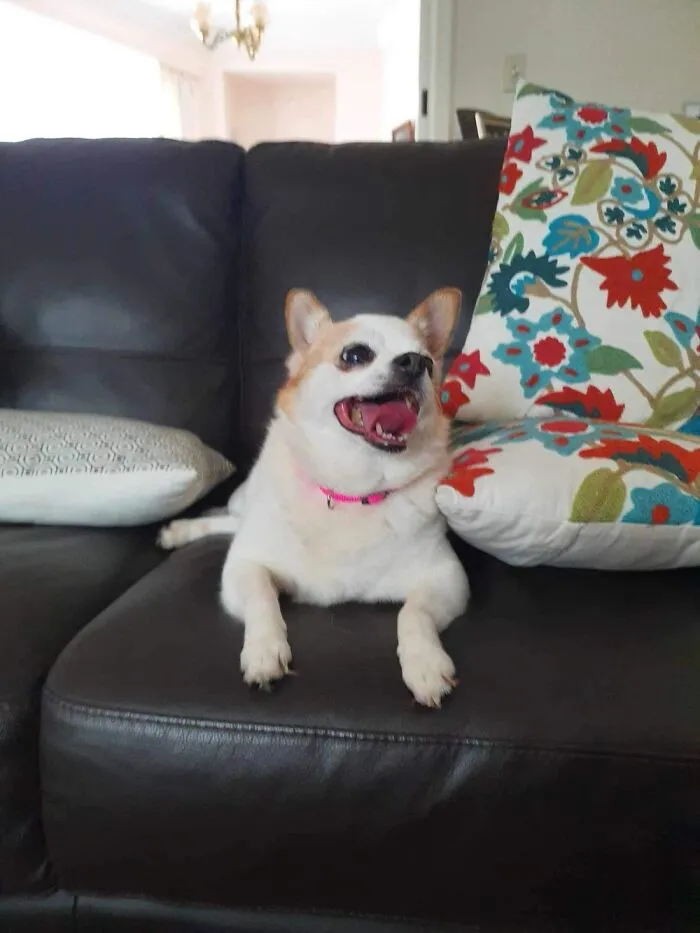 Cute Oldie Chloe