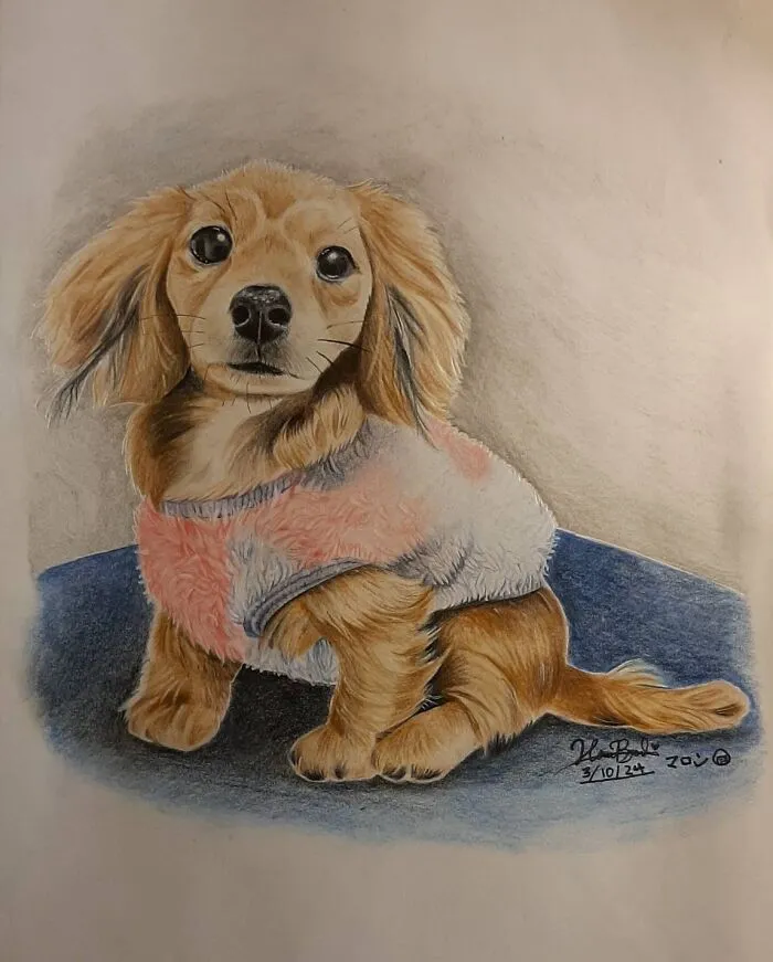 My Most Recent Pencil Crayon Drawing