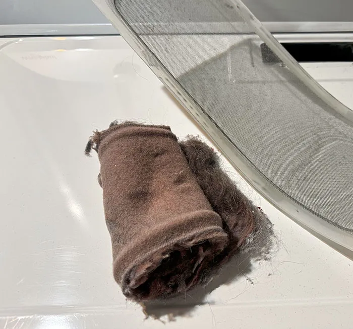 My Wife: "I Always Check The Lint Trap." Every Time I Check The Lint Trap, I Find It Like This