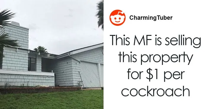 “I Can Smell The Pictures”: Photos Of Trash-Filled Home Priced At $1.5M Are Driving People Crazy