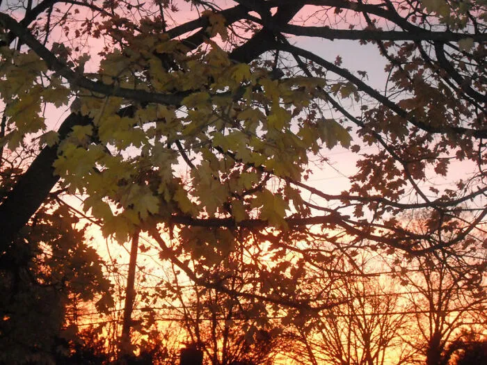 Colorful Sky