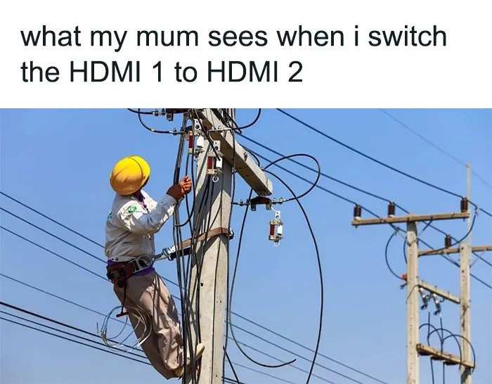 50 Random Memes To Entertain You While You Procrastinate