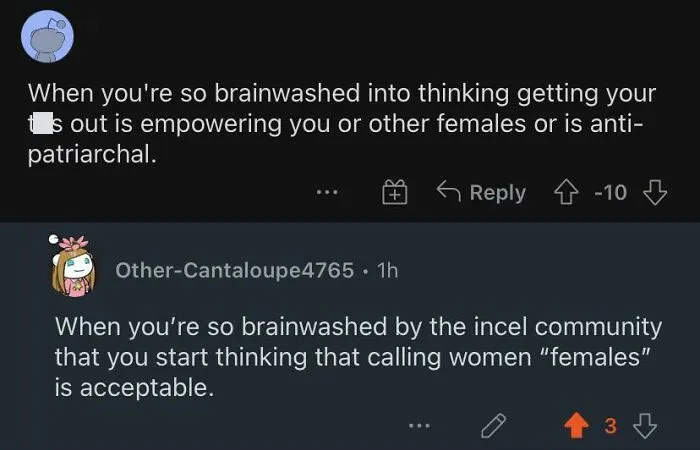 The Whole Comment Section On That Post Was A Cesspool Of Incels And Victim Blaming