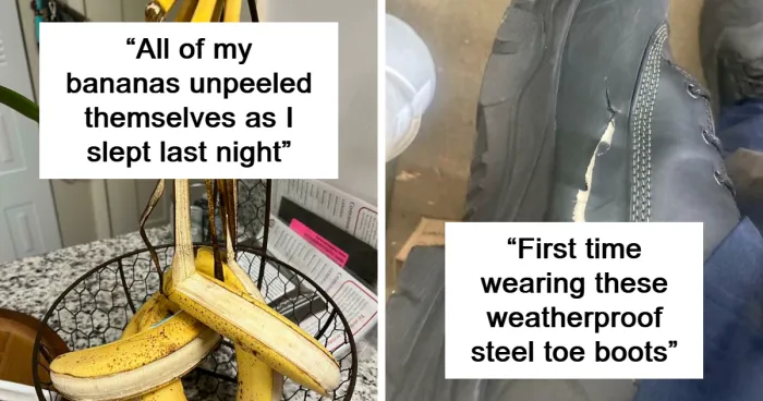 50 Mildly Infuriating Situations That Are Oh-So Relatable (New Pics)