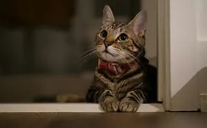 “Yup, I’m Breaking Up With You”: 40 Moments That Ruined Relationships