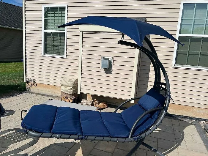 Relax And Swing Away With <span Style="Font:inherit;color:#d74b1f;"> The Hanging Chair Swing</Span>: Your Cozy Spot For Leisure Moments