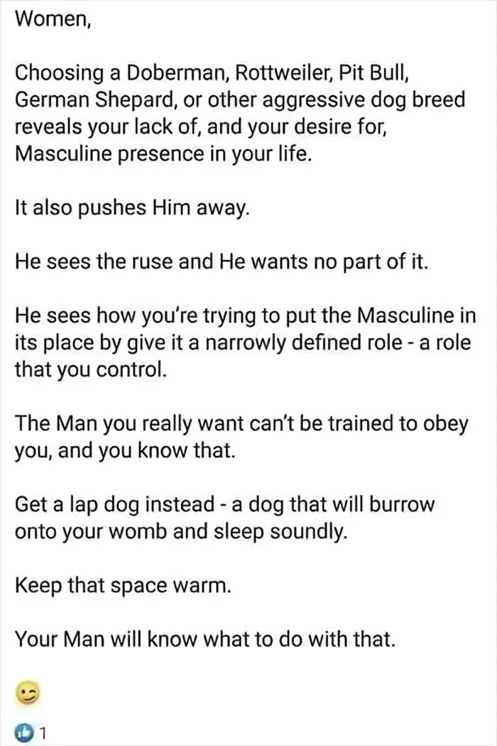 Wtf Did I Just Read?