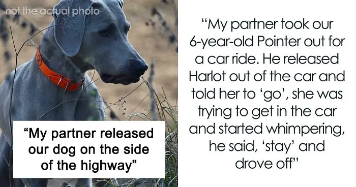 "My Partner Released Our Dog On The Side Of The Highway"