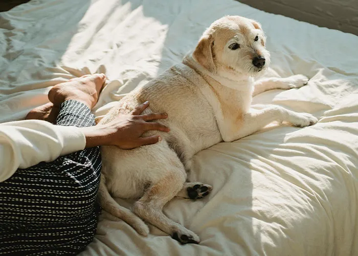 50 Of The Stupidest Reasons For Why People Got Divorced