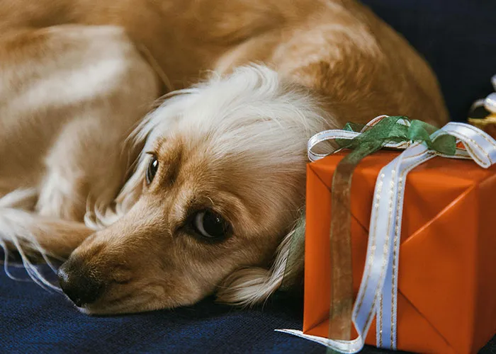 50 Of The Stupidest Reasons For Why People Got Divorced