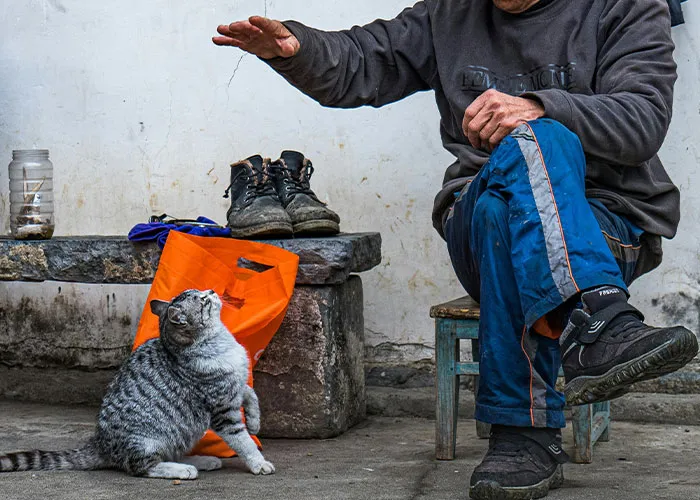 “The Things I’ve Seen, I Can’t Unsee”: 30 Times People Were Shocked By How Others Live