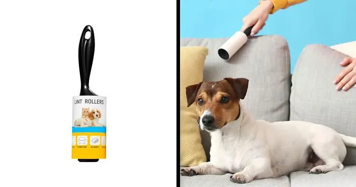 8 Best Pet Hair Removers In 2024