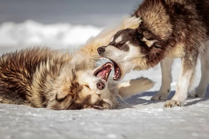 30 People Shared Unusual Things They Can Do Better Than Anybody Else