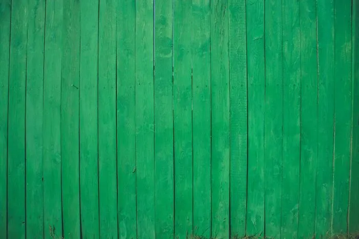 40 Disturbing Facts People Wish They Didn’t Know