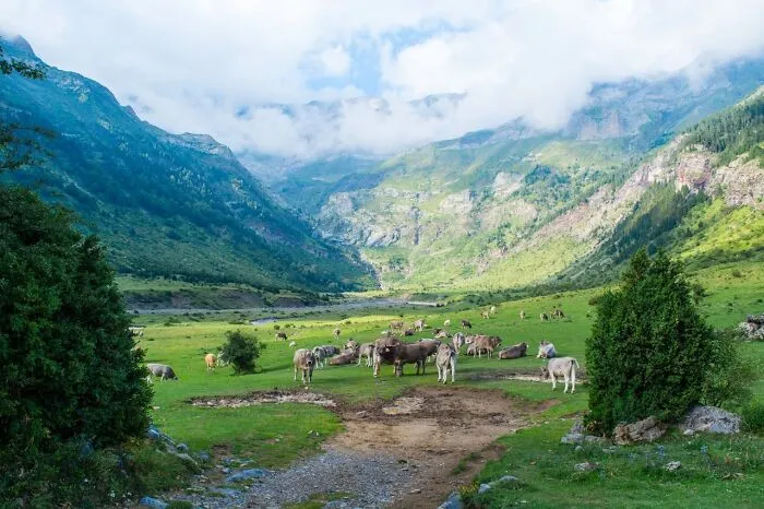 “The Grass Is Always Greener”: 40 Stories From Americans Who Decided To Try Living Elsewhere
