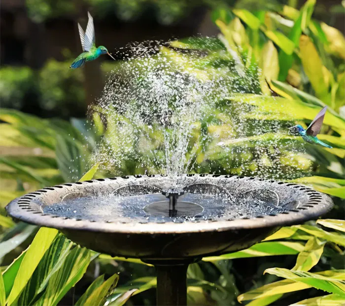 Transform Your Oasis With The Floating Solar Powered <span Style="Font:inherit;color:#d74b1f;"> Water Fountain</Span>