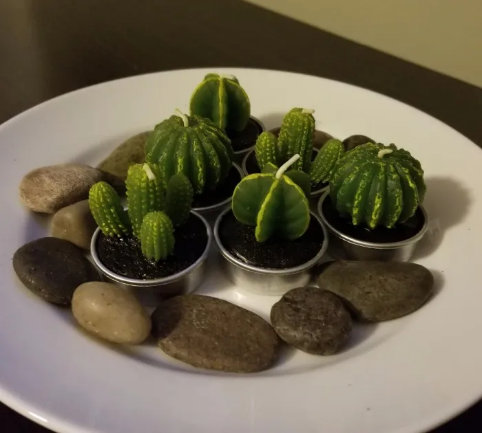 <span Style="Font:inherit;color:#d74b1f;"> Cactus Candle Corner</Span>: A Prickly Yet Sweet Light For Your Special Nights 