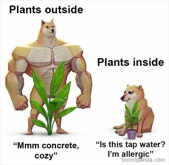 ‘Science Is Fun’: 50 Funny And Smart Memes For Science Lovers Everywhere