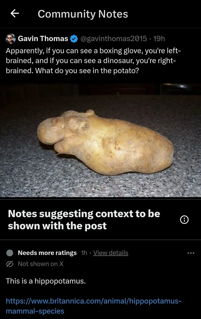 35 Of The Funniest Comebacks That Have Graced X’s Community Notes