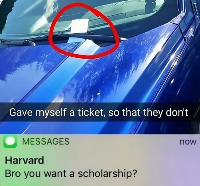 50 Random Memes To Entertain You While You Procrastinate