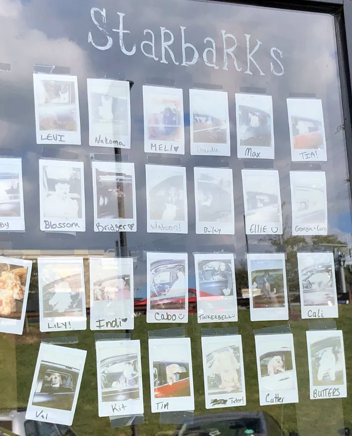 This Starbucks Has A Picture Of Every Dog That’s Come Through The Drive-Through
