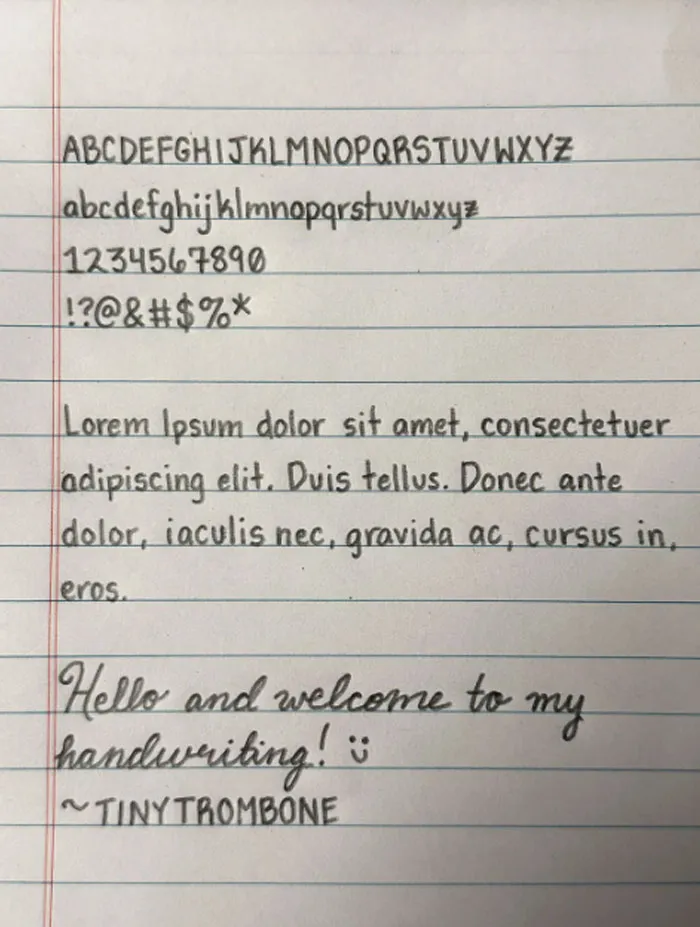 I Prefer To Write In Pencil