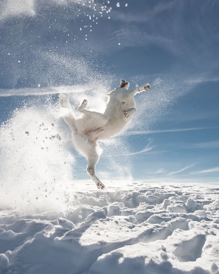 'Everybody Was Kung Fu Fighting' By Sylvia Michel