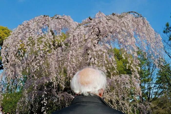 25 Funny Accidental Images That Were Taken At The Right Time And Place By This Street Photographer (New Pics)