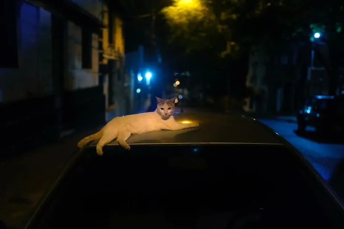 Photojournalist Captures Social Contrasts In Paraguay, Here Are His 33 Most Captivating Photos