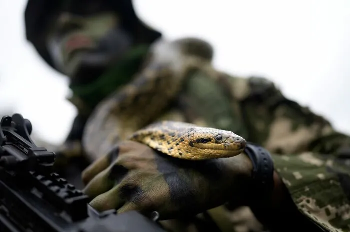 Photojournalist Captures Social Contrasts In Paraguay, Here Are His 33 Most Captivating Photos